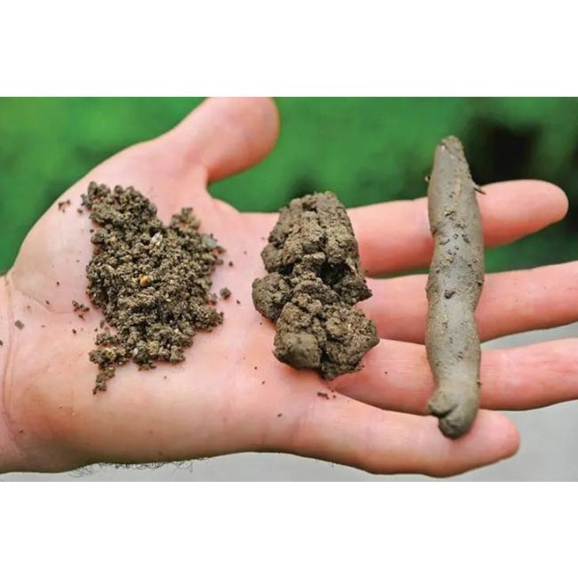 Soil structure and granulometry: advantages and disadvantages