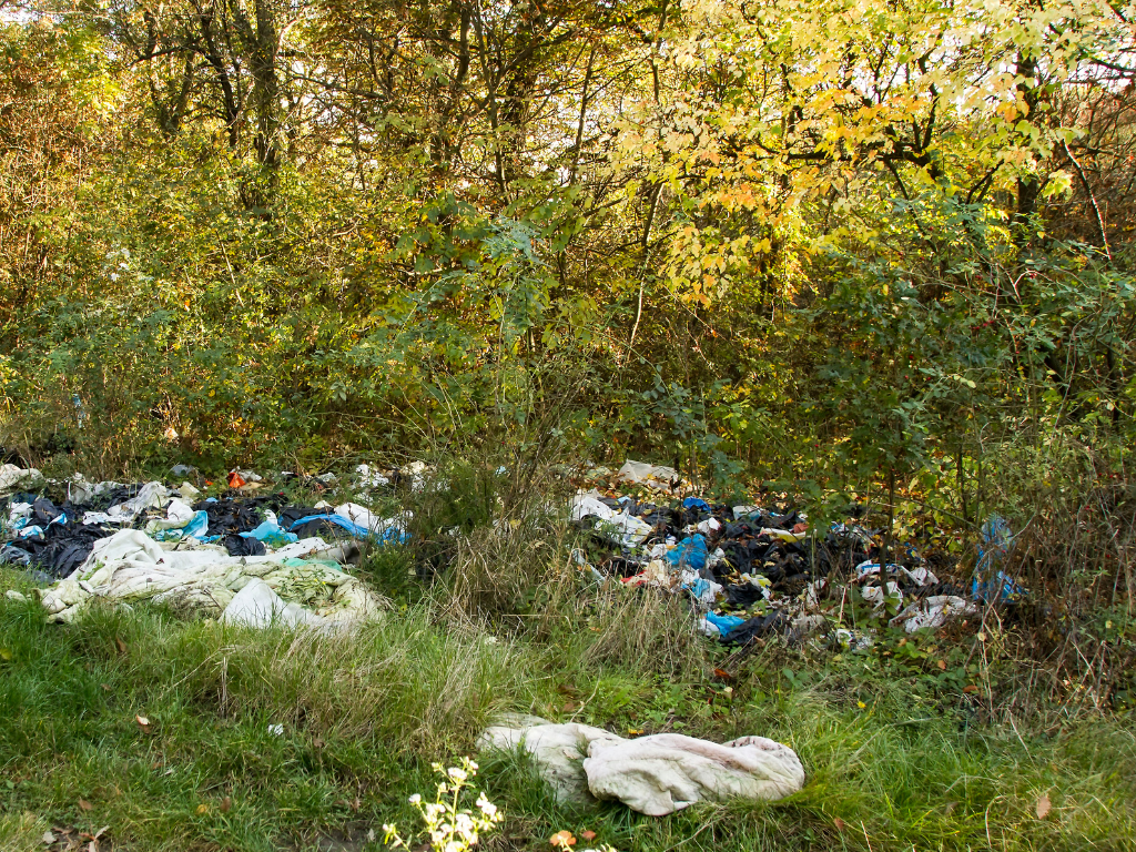 Fly-tipping: What to do if caught in the act?
