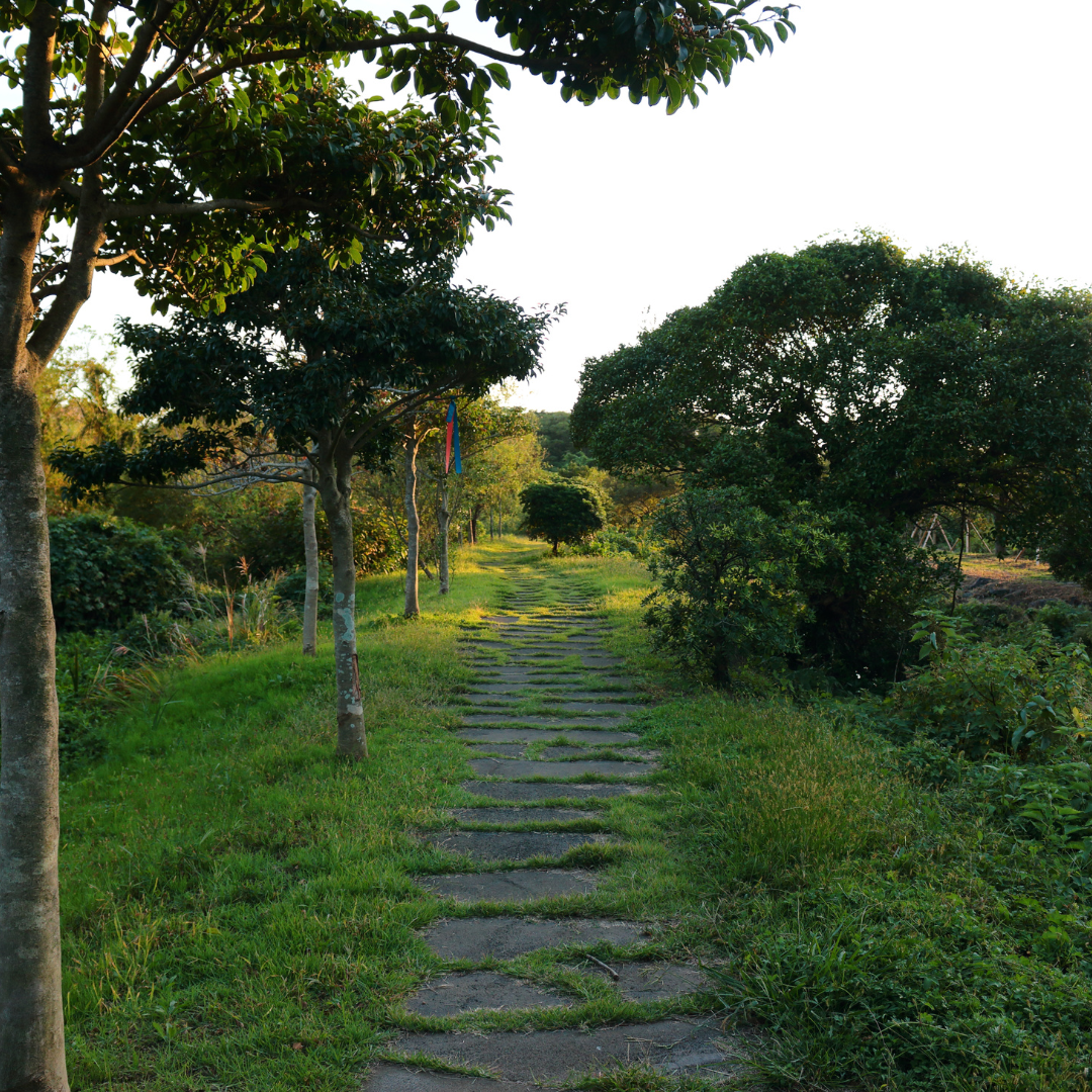 allee_jardin_pouryere