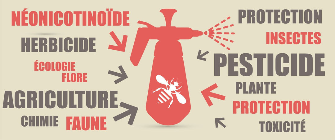 Phytoremédiation des pesticides : quelles solutions végétales pour dépolluer un sol ?
