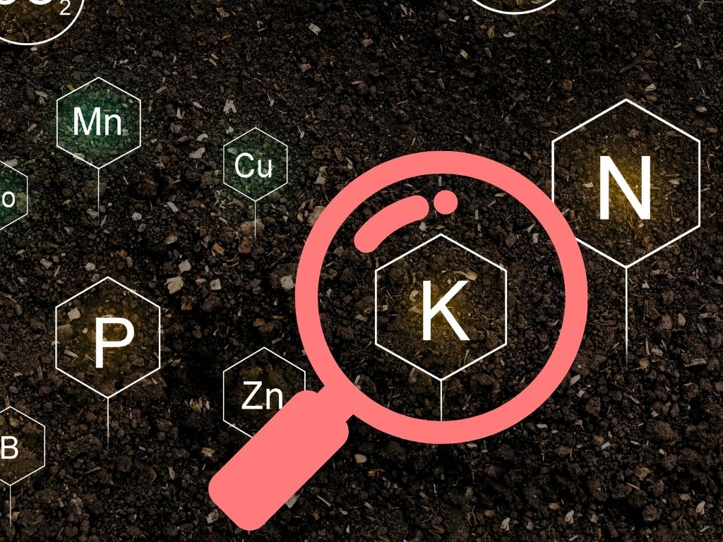symbole potassium