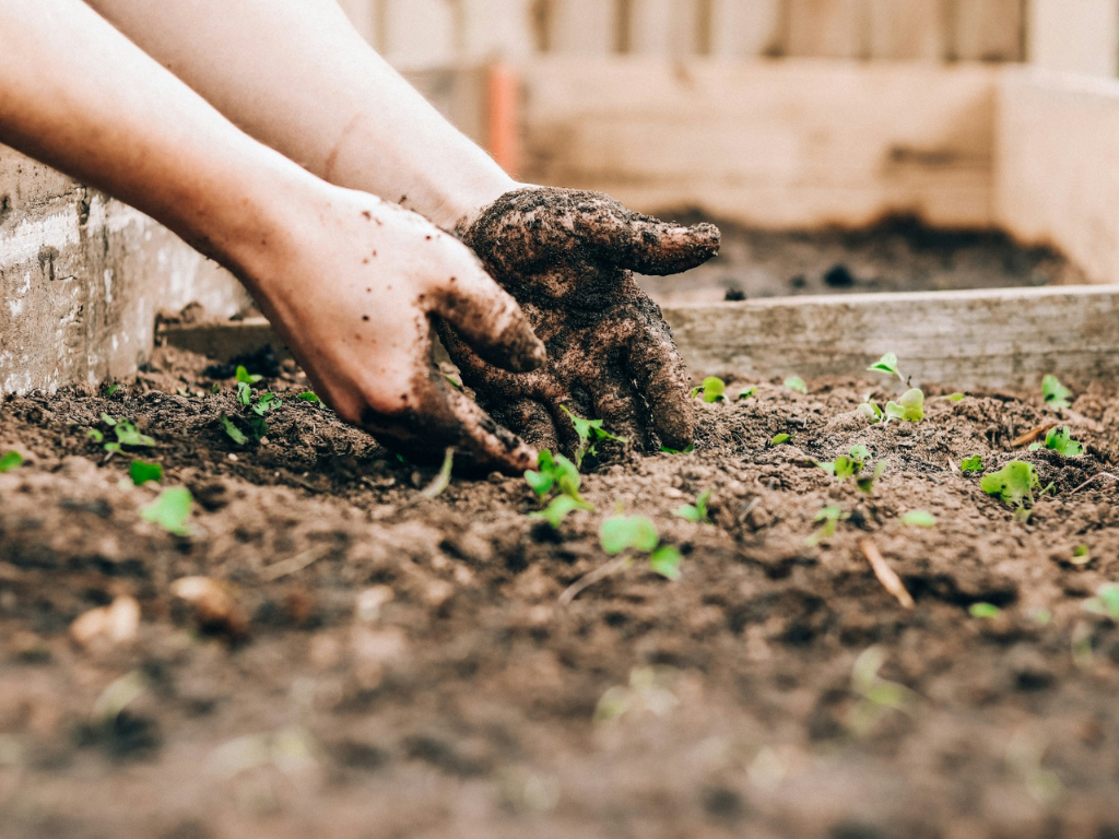 Connaître les propriétés agronomiques de son sol : Tout ce qu'il faut savoir