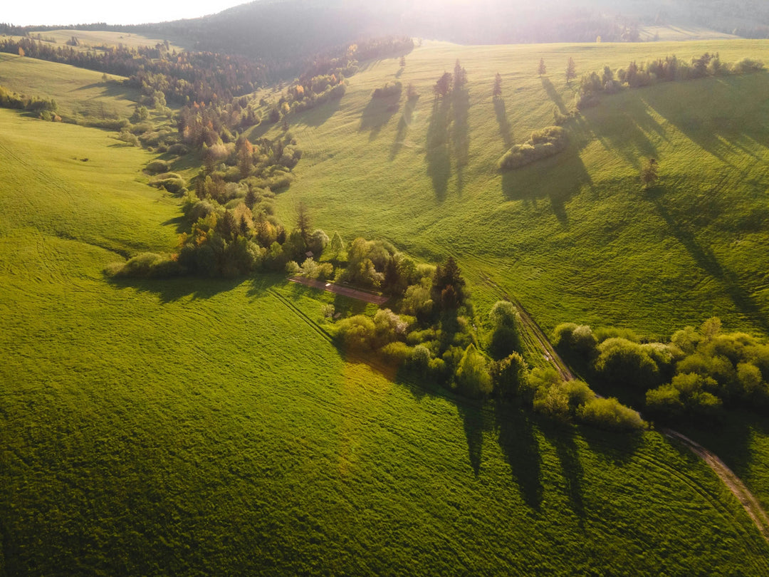 L'impact des PCB dans l'environnement : Quels risques pour le monde du vivant ?