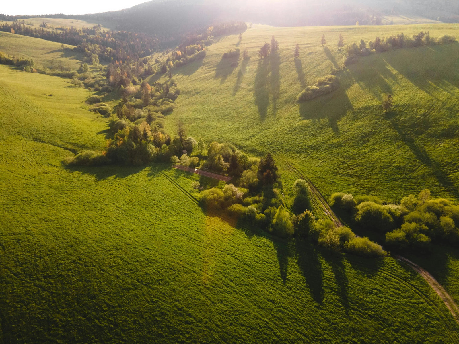 l'impact des PCB dans l'environnement