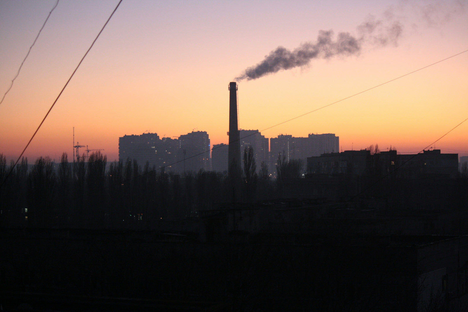 Pouryère - Sol pollué au mercure : quelles solutions pour mon jardin ?
