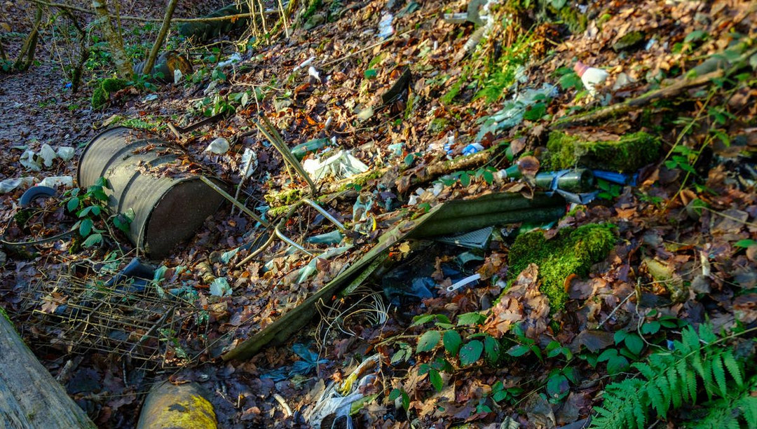 Pollution des sols : causes, conséquences et solutions pour préserver votre terrain