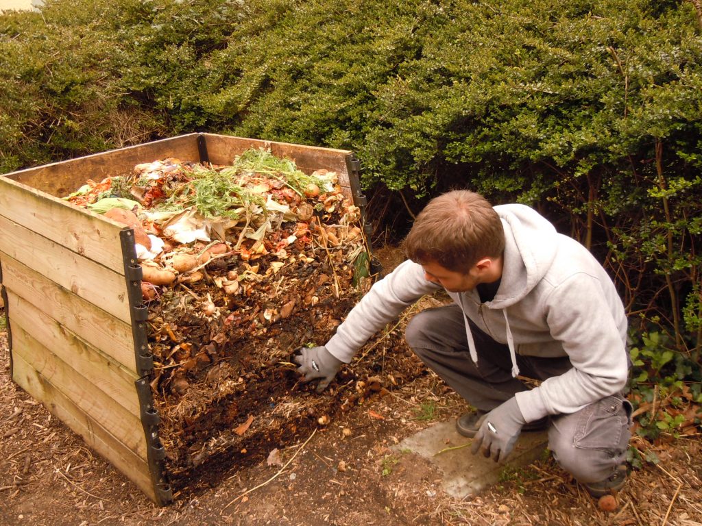 Bac à compost domestique avec épluchures et déchets verts, risques de pollution à connaître
