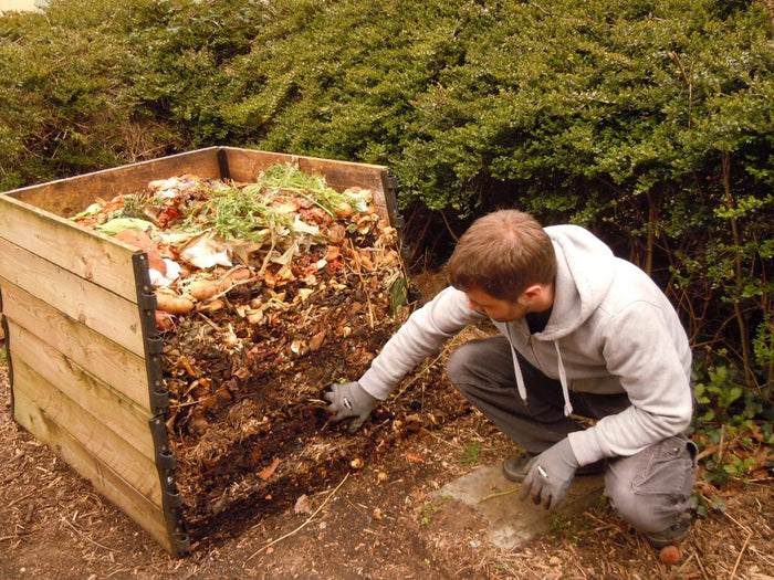 Bac à compost domestique avec épluchures et déchets verts, risques de pollution à connaître