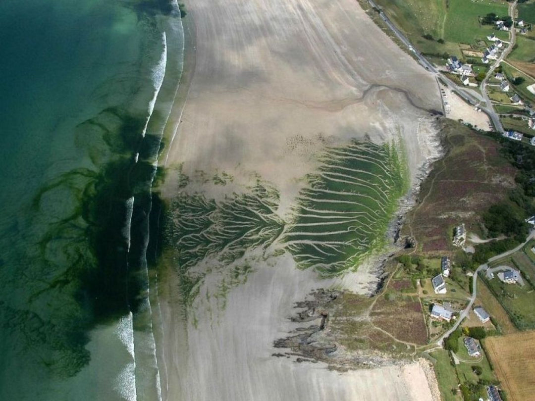 Pollution des sols en Bretagne : azote, nitrates et marées vertes, un profil unique en France