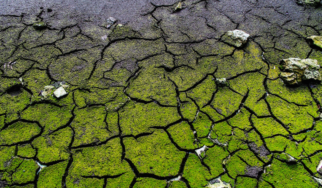terre verte pollution