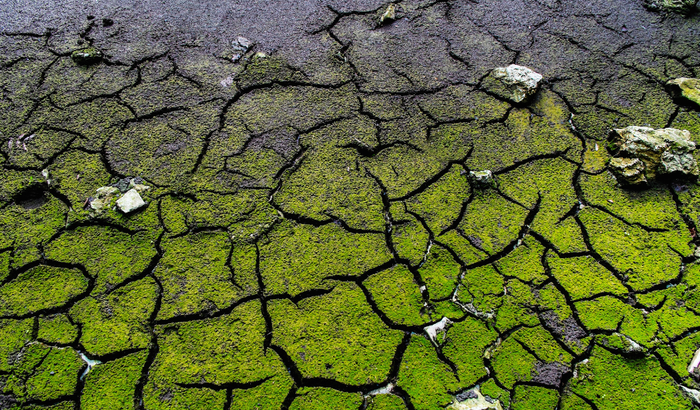 terre verte pollution