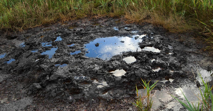 Terre polluée flaque