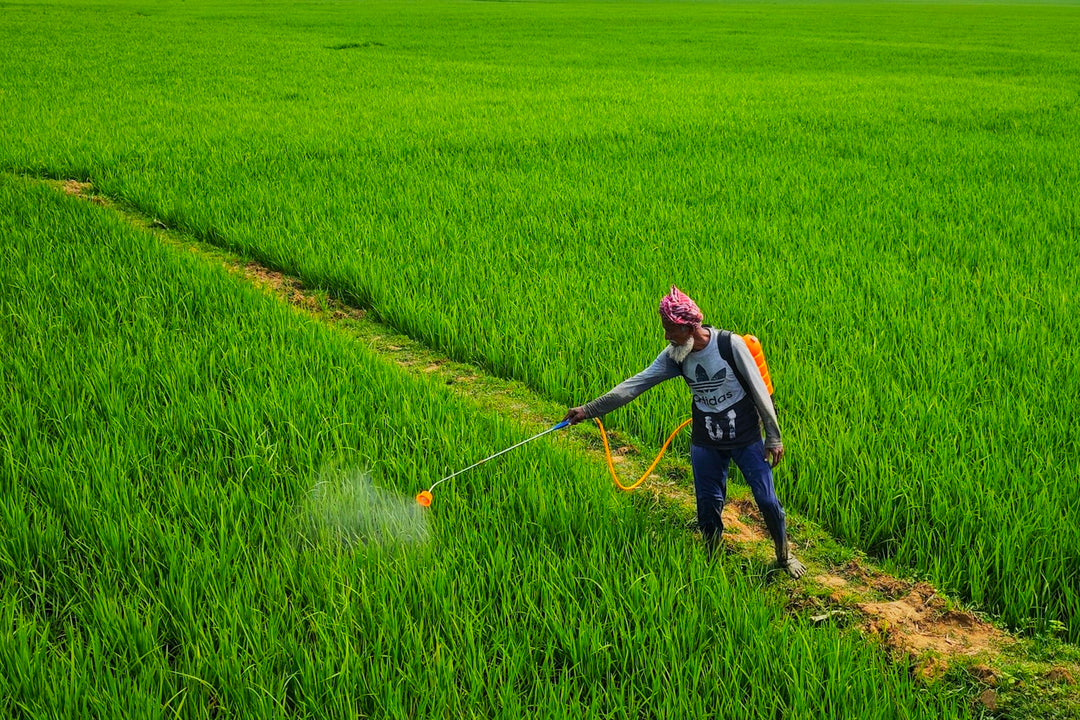 Glyphosate dans le sol : combien de temps persiste-t-il et comment le détecter ?