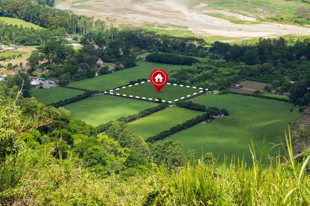 Analyse de sol avant achat immobilier : pourquoi c'est indispensable et comment le faire