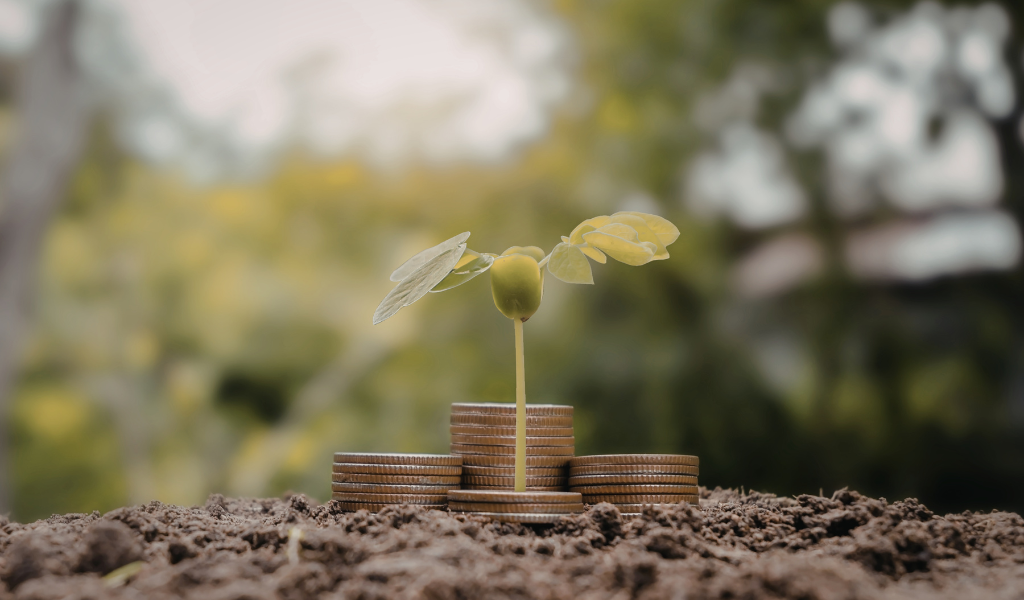 Analyse de sol : quels prix pour quels besoins en 2026 ?