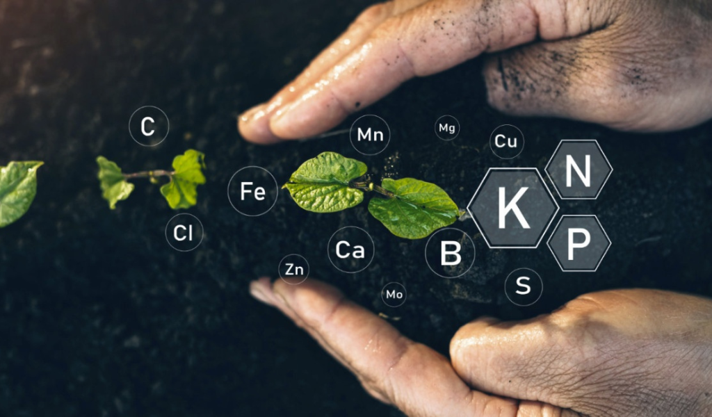 Faire Analyser sa Terre pour la Pollution : Le Guide Ultime pour un Environnement Sain