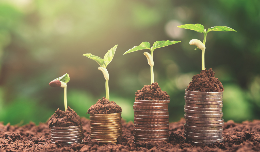 Analyse de sol agricole prix : comprendre les coûts et investir dans la fertilité de votre terre