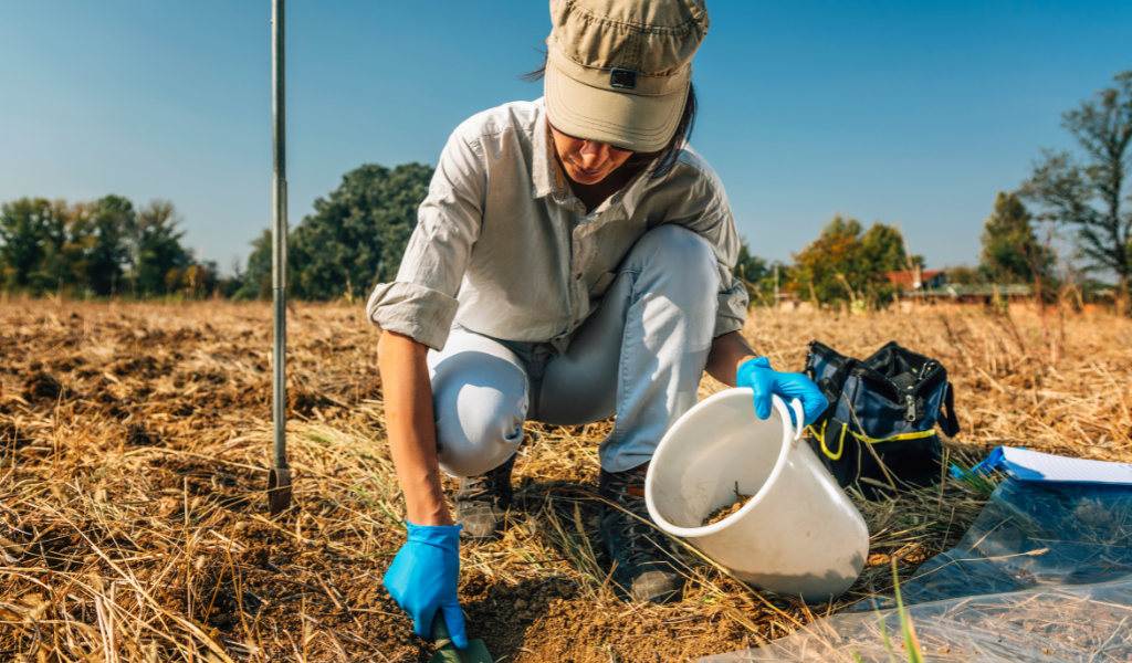 Analyse de sol agricole : un levier stratégique pour améliorer vos rendements