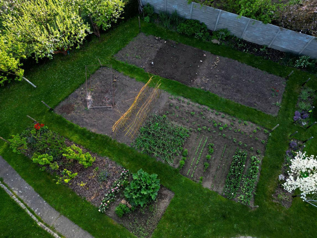 Combien de kits faut-il pour analyser mon jardin selon sa surface ?