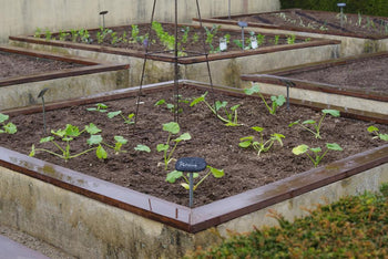 potager matière organique