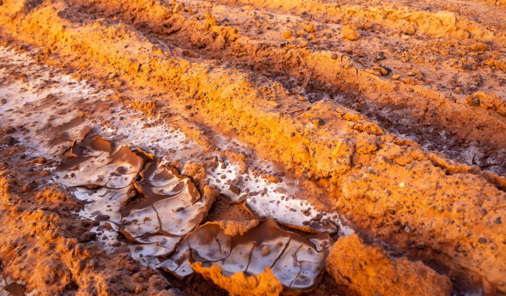 Everything you need to know about clay soils: composition, formation and detection 