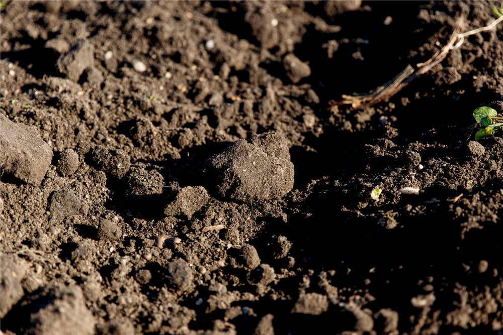 Équilibre chimique du sol : CEC et cations échangeables, ce que révèle votre AGROKIT