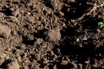 Structure du sol avec complexe argilo-humique, capacité d'échange cationique analysée par l'AGROKIT