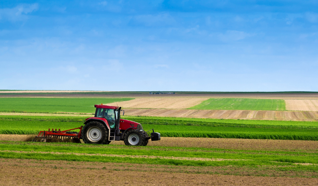 Analyse de sol agricole interprétation : comprendre et valoriser la richesse de votre terre