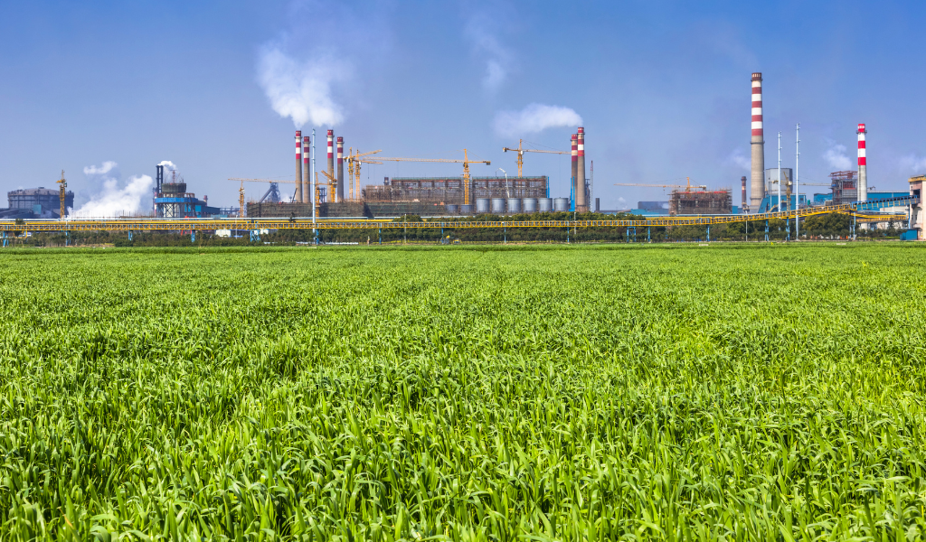 Analyse BTEX : Le Guide Complet pour Comprendre, Détecter et Gérer la Pollution