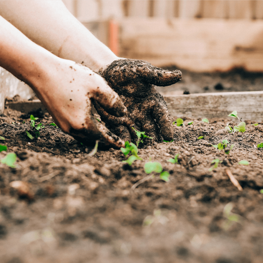 Analyser la terre du jardin