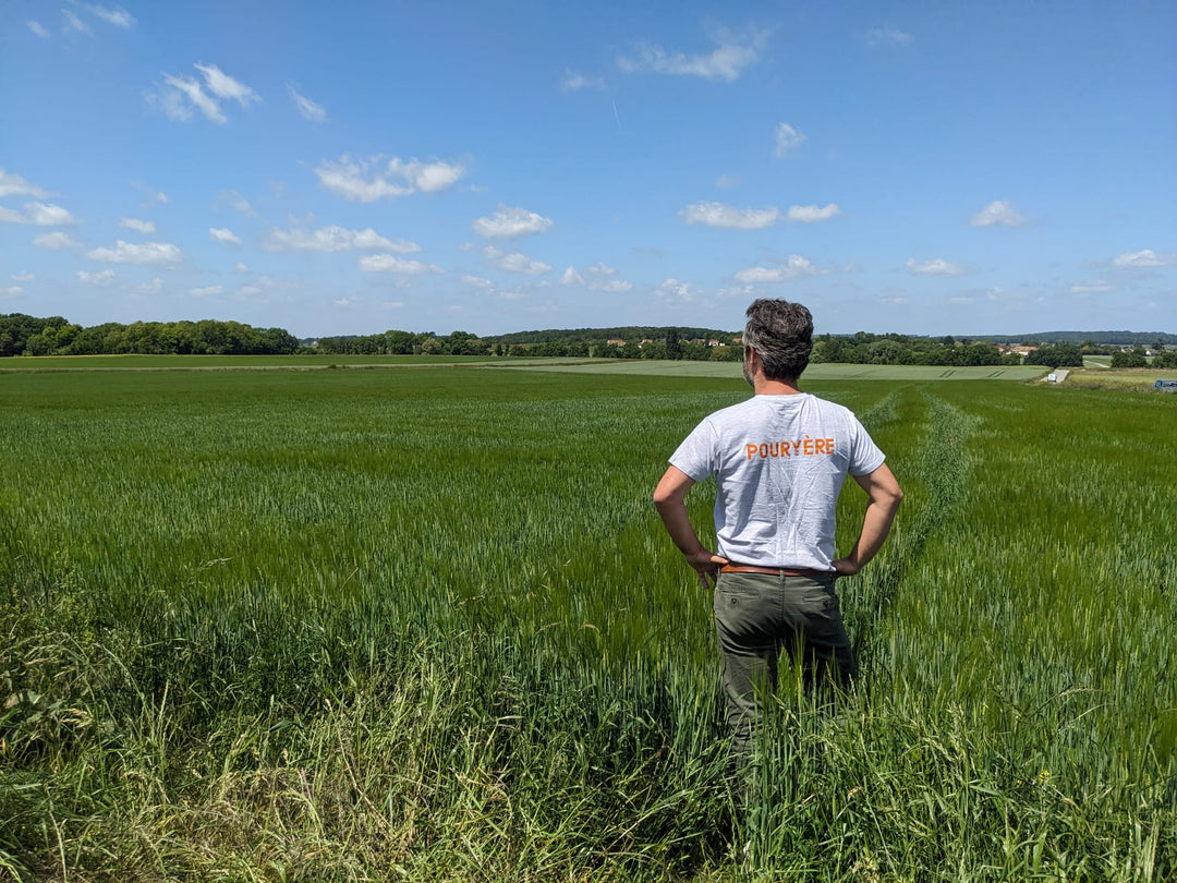 Champ agricole homme