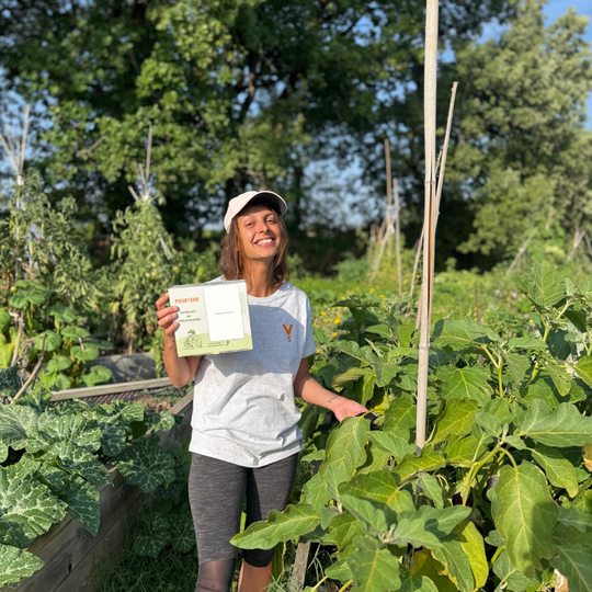 Louise kit POuryère