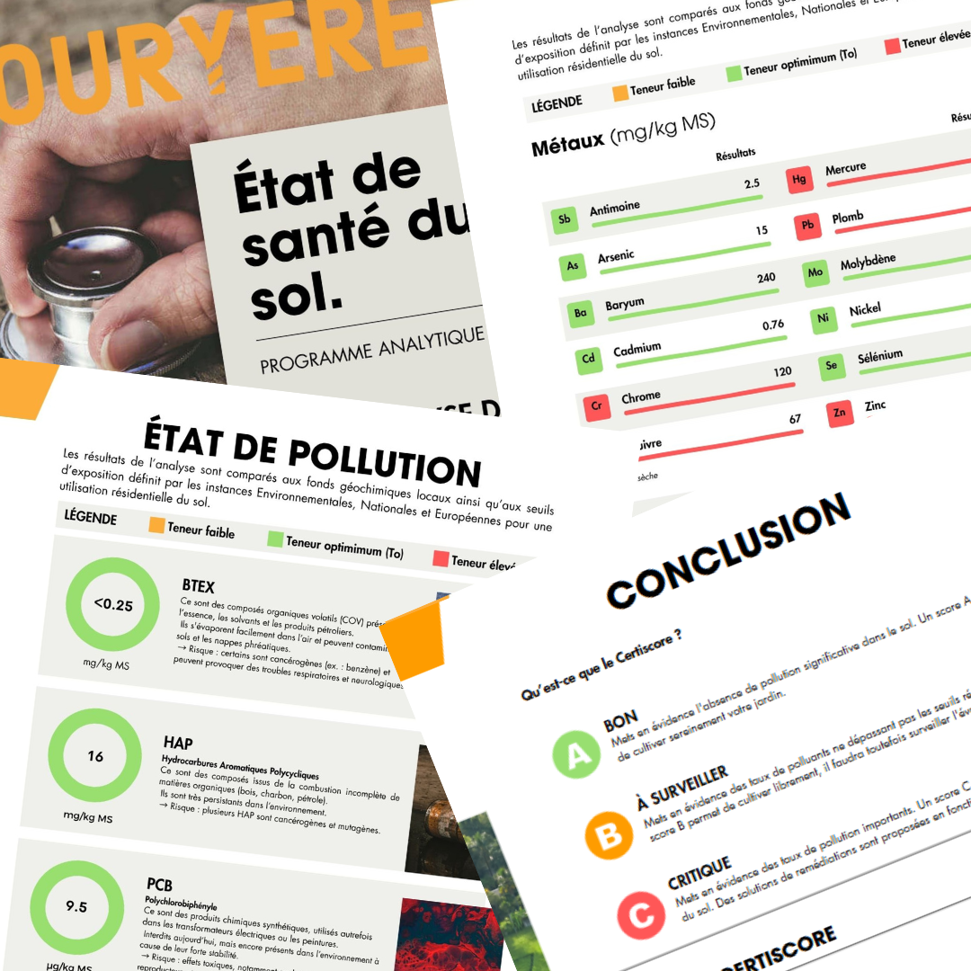 Rapport