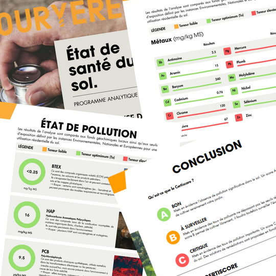 Rapport