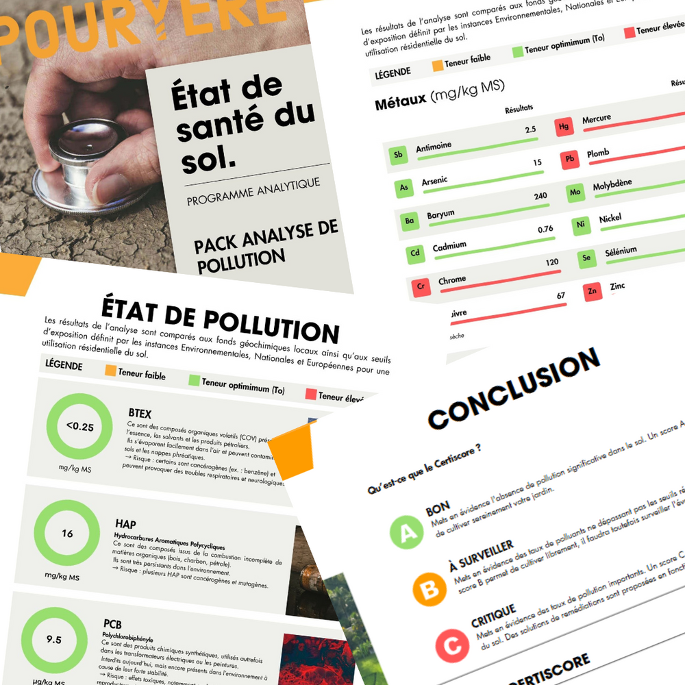 Rapport de pollution