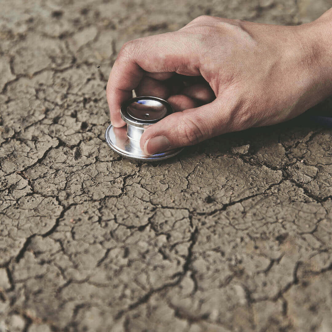 Santé du sol