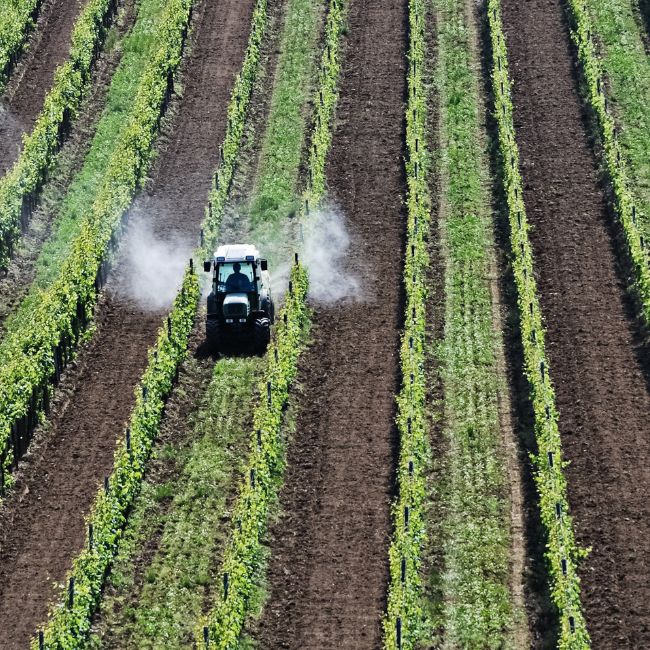 Tracteur champ agricole