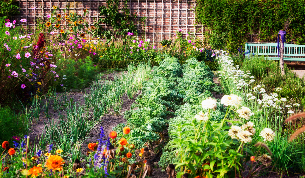 jardin fleuri potager